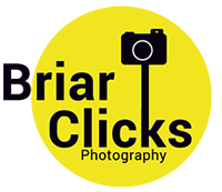 Briar Clicks Logo